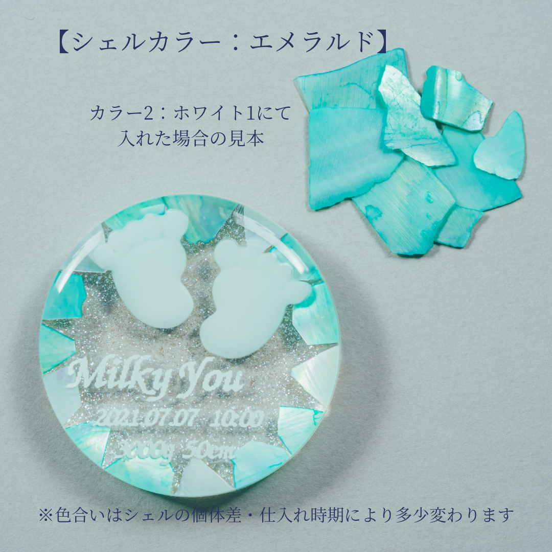 【キーホルダーオプション】シェル追加