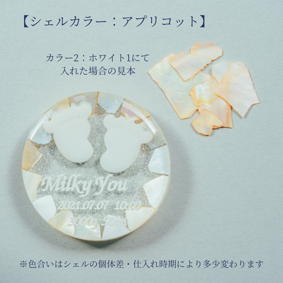 【キーホルダーオプション】シェル追加
