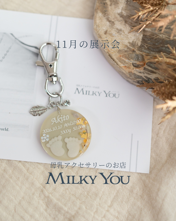 11月展示会